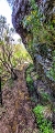 Plants: image 36 Of 208 Thumb